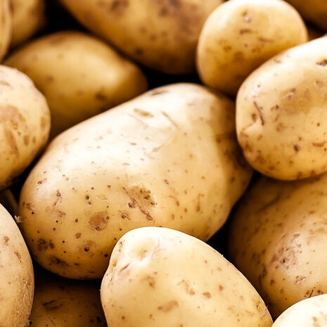 themamatater | wifey.